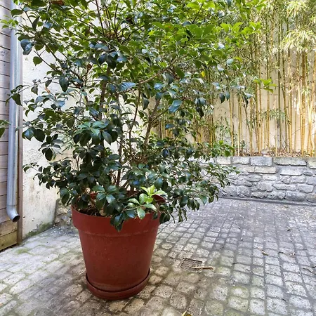Apartment Proche *